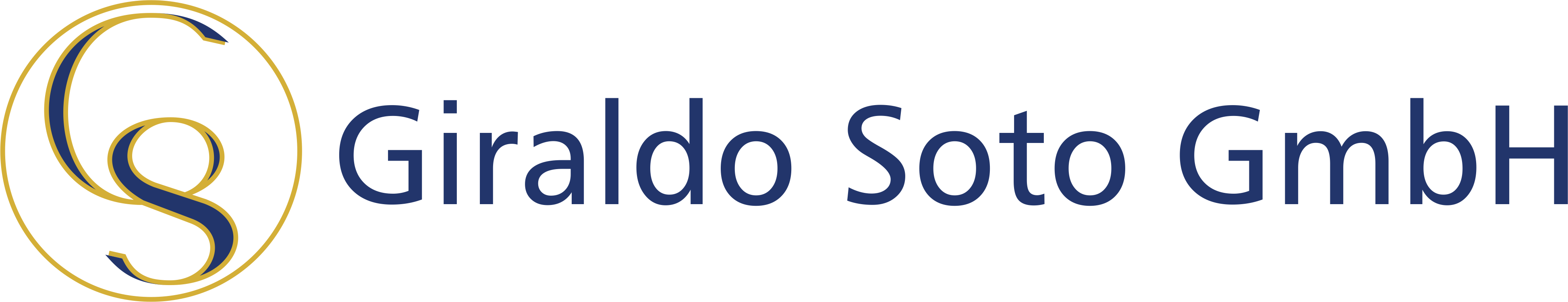 Giraldo Soto GmbH